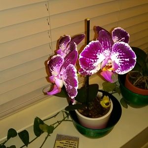 Meet your Posher, Mel